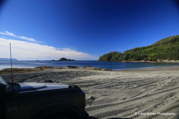 IMG_2228 copy