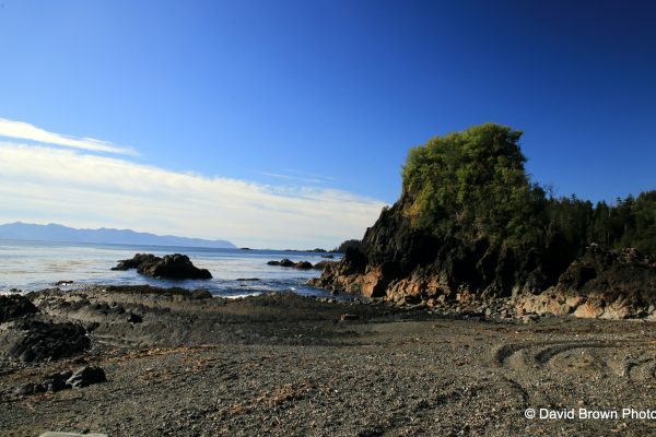 IMG_2242 copy