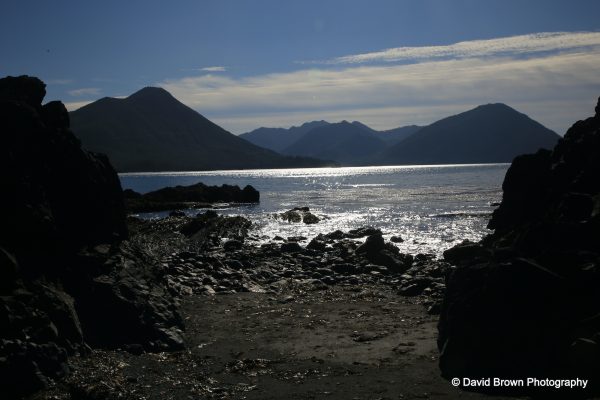 IMG_2251 copy