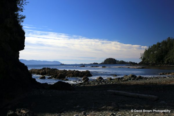 IMG_2254 copy
