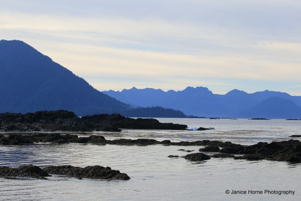 IMG_4061 copy