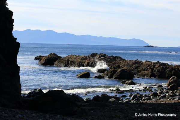 IMG_4397 copy